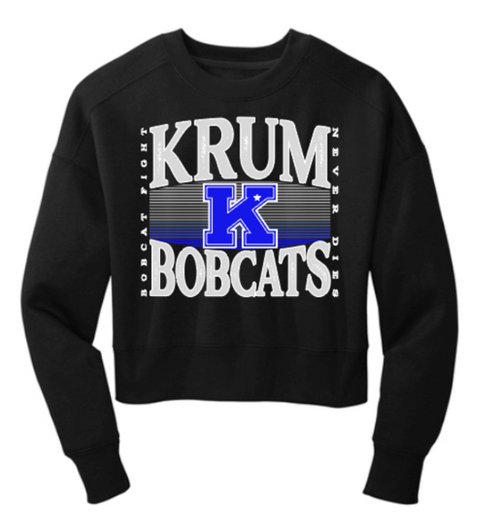 Cropped BFND Crewneck Sweatshirt